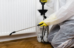 Pest Control Services Rhyl UK (01745)