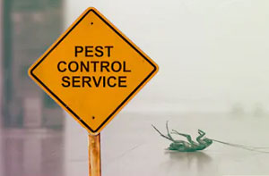 Pest Management Service Burtonwood UK