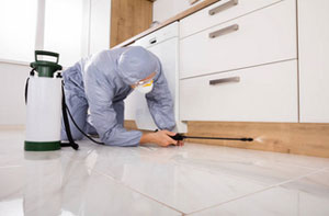 Pest Control Services Guisborough UK (01287)