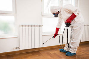 Pest Control Specialists Dundee