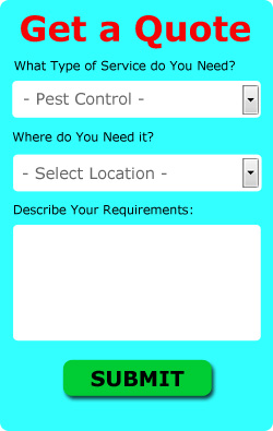 Free Dunblane Pest Control Quotes