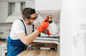 Pest Control Specialists Newtownabbey Pest Control Specialists Newtownabbey