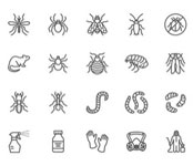 Hebburn Pest Control Near Me (NE31) Hebburn Pest Control Near Me (NE31)