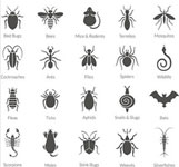 Bury Pest Control Near Me (BL9) Bury Pest Control Near Me (BL9)