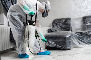 Pest Control Services Ashton-in-Makerfield UK