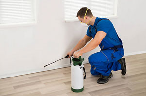 Pest Control Specialists London Colney