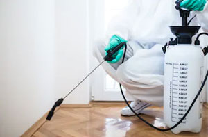 Pest Management Service Alton UK Pest Management Service Alton UK