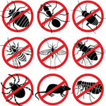 High Wycombe Pest Control Near Me (HP10)