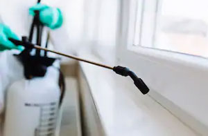 Pest Management Service Inverurie UK Pest Management Service Inverurie UK