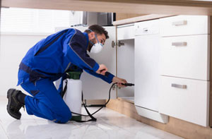 Pest Control Specialists Daventry