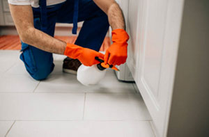 Pest Management Service Newtownabbey UK Pest Management Service Newtownabbey UK