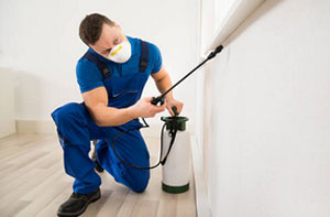 Pest Management Service Poulton UK