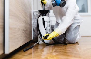 Pest Management Service Coventry UK